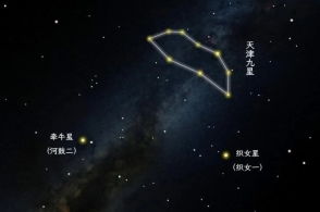 网际星辰 陆柒与他的数字宇宙漫游